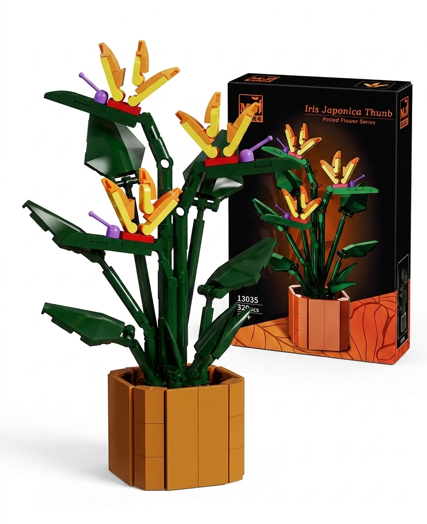 Potted flower Iris Japonica Thunb 320 pcs